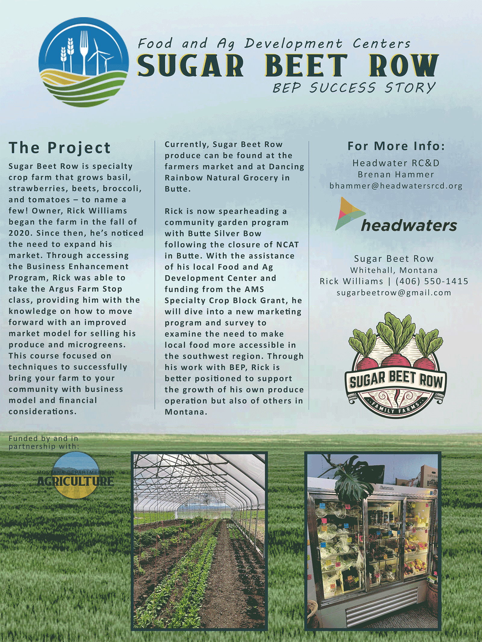 field and sugar beets in greenhouse