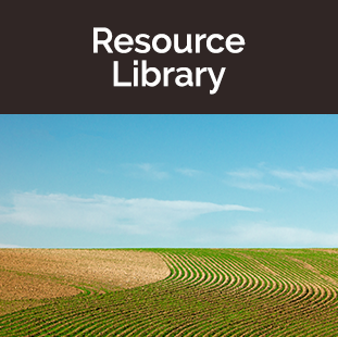 tan and green rows in field