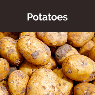 light colored potatoes