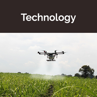 drone spraying green field