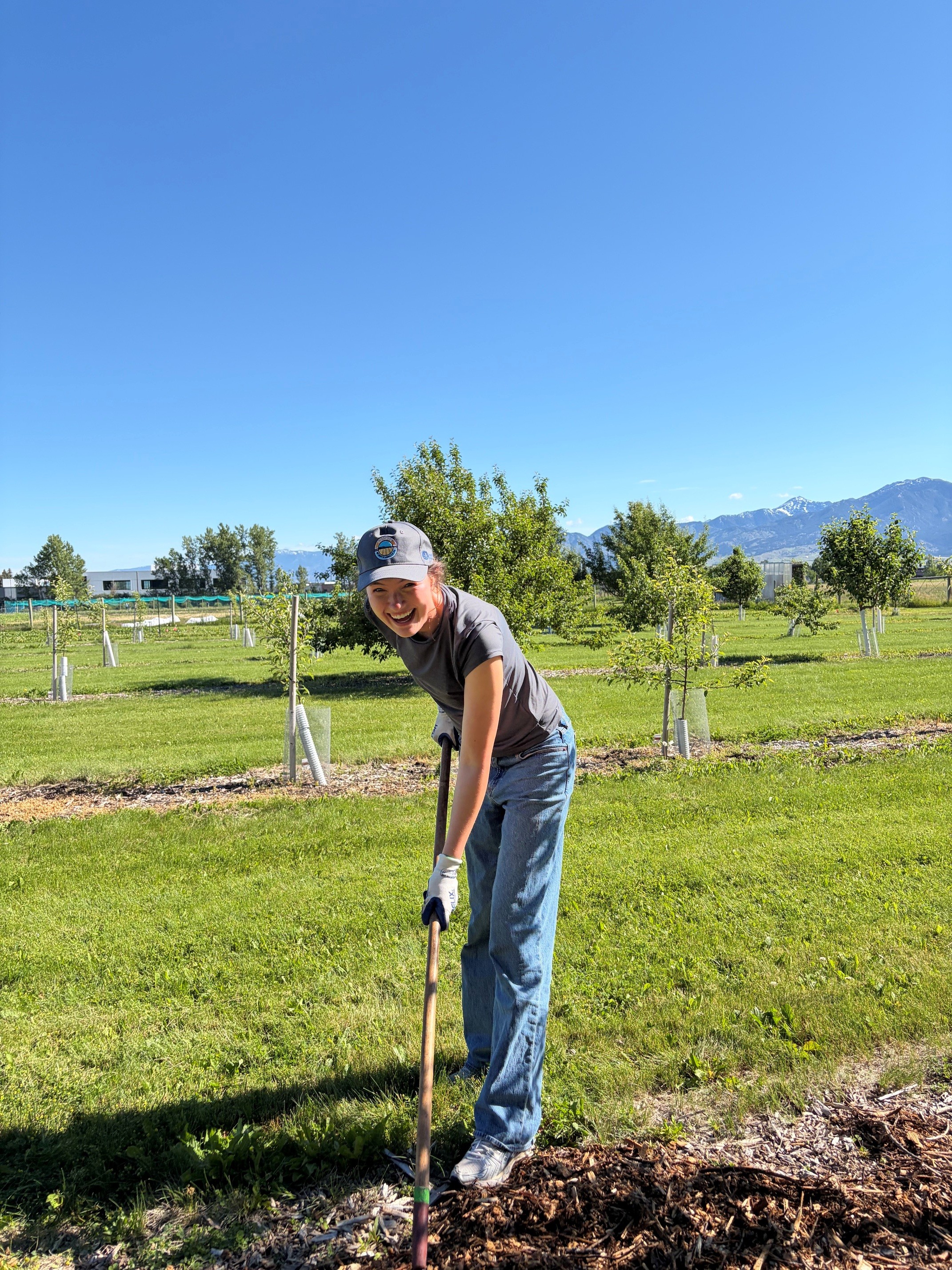 AgCorps Member Spreading Mulch