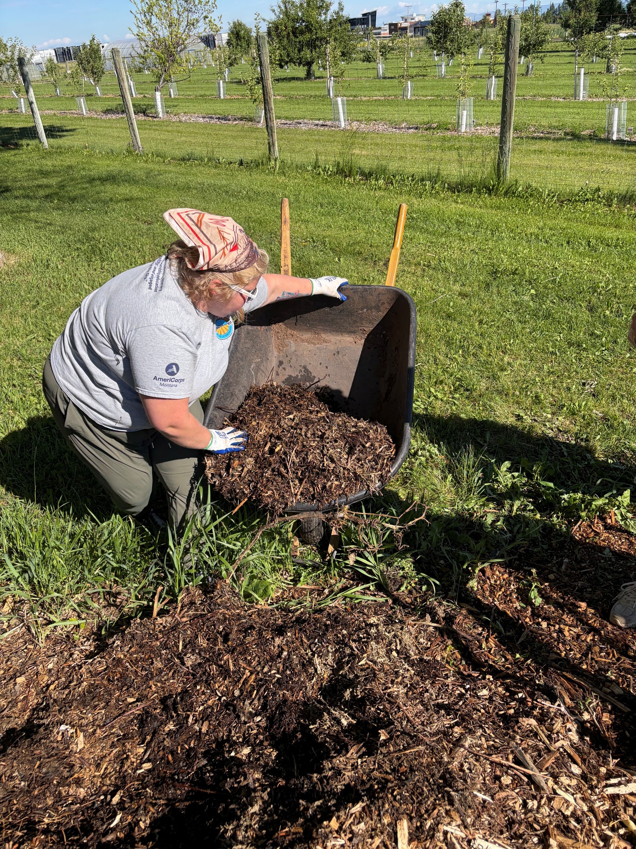 AgCorps Member Spreading Mulch