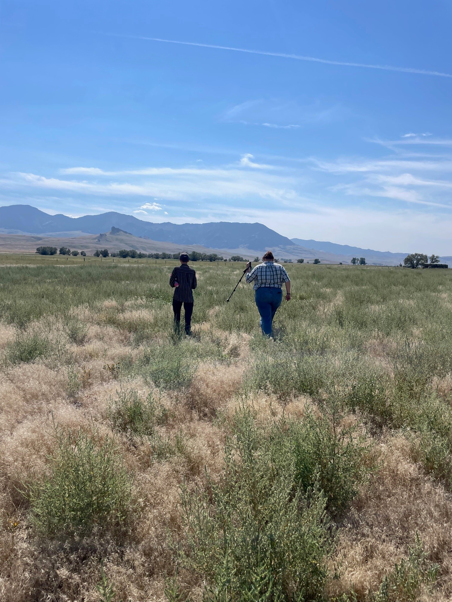 AgCorps Members in a Field