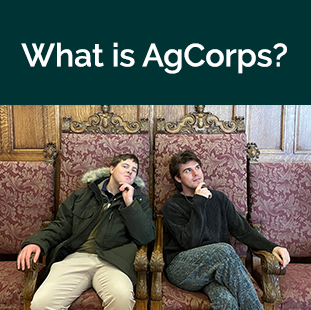 2 men sitting in large  chairs