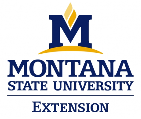 Montana State University Extension spelled out in blue