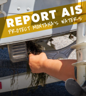 hand pulling weeds off boat aft