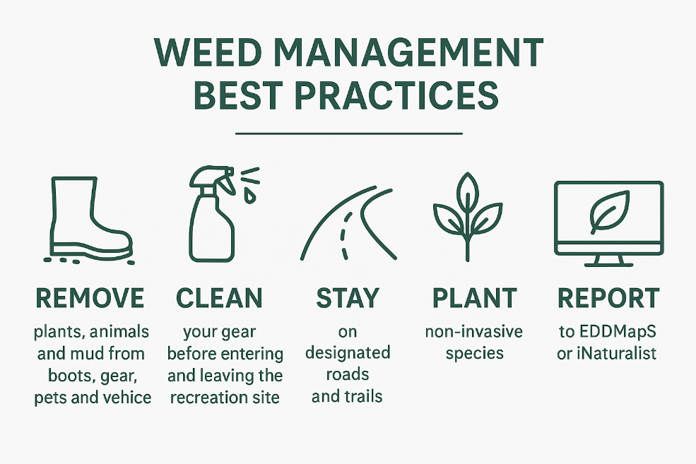 boot, spray bottle, path, plant, computer images