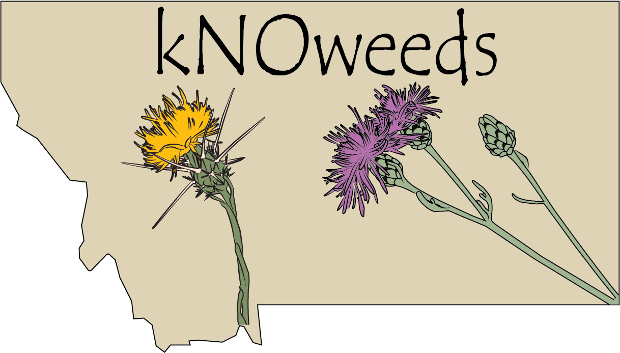 Invasive Plant Education logo - state map with weed