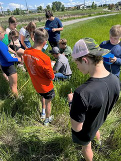 kids learning about weeds in a field