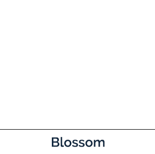 Common Buckthorn blossom