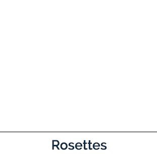 Hoary Alyssum rosettes