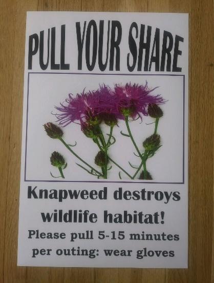 Pull Your Share poster - purple Knapweed