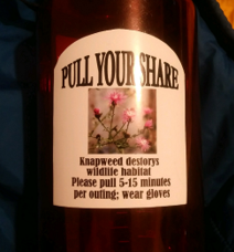 Pull Your Share Sticker - purple knapweed
