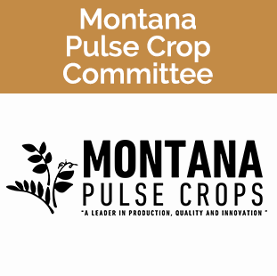 Montana Pulse Committee tile black stems with leaves and title