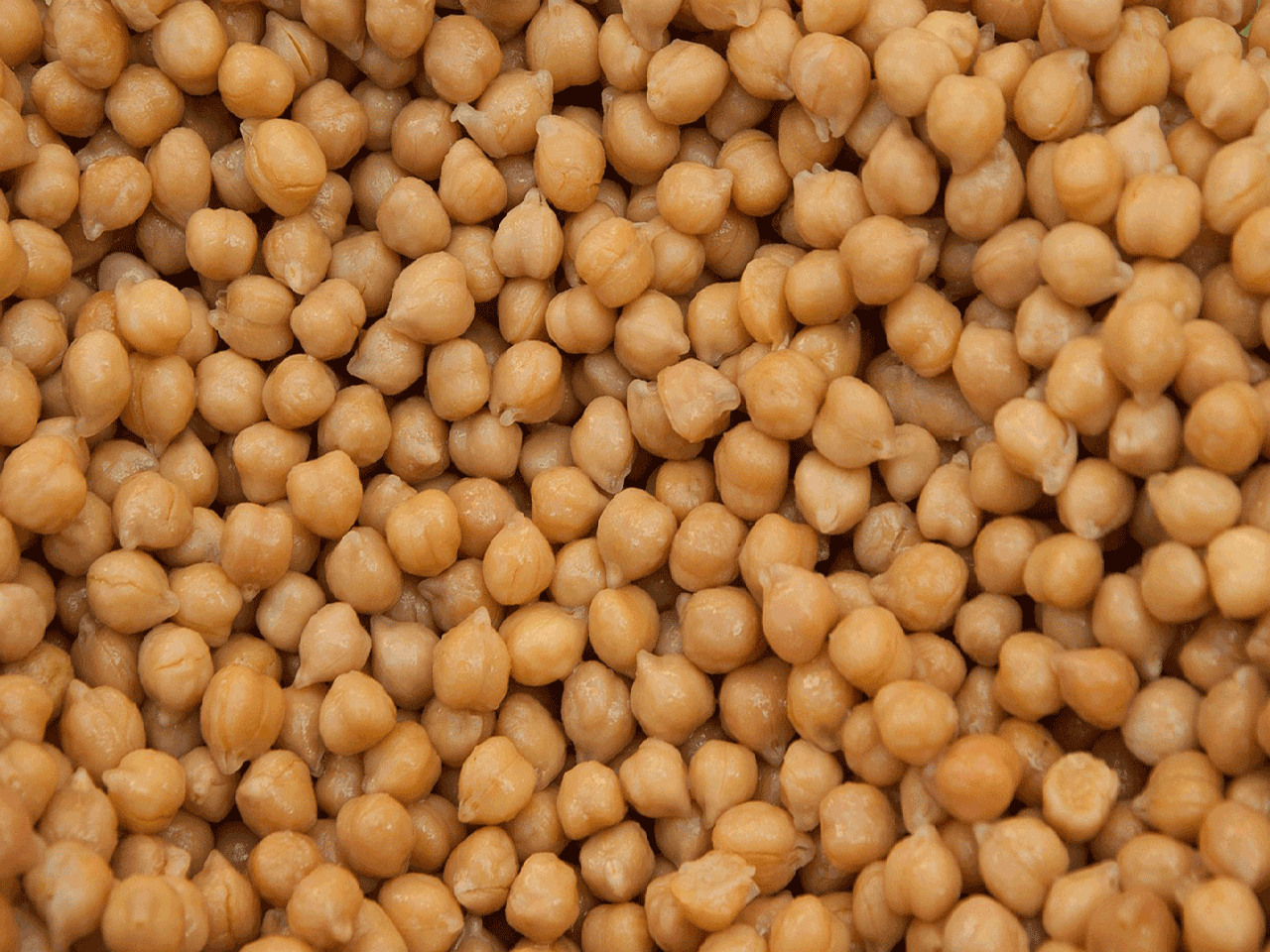 tan chick peas