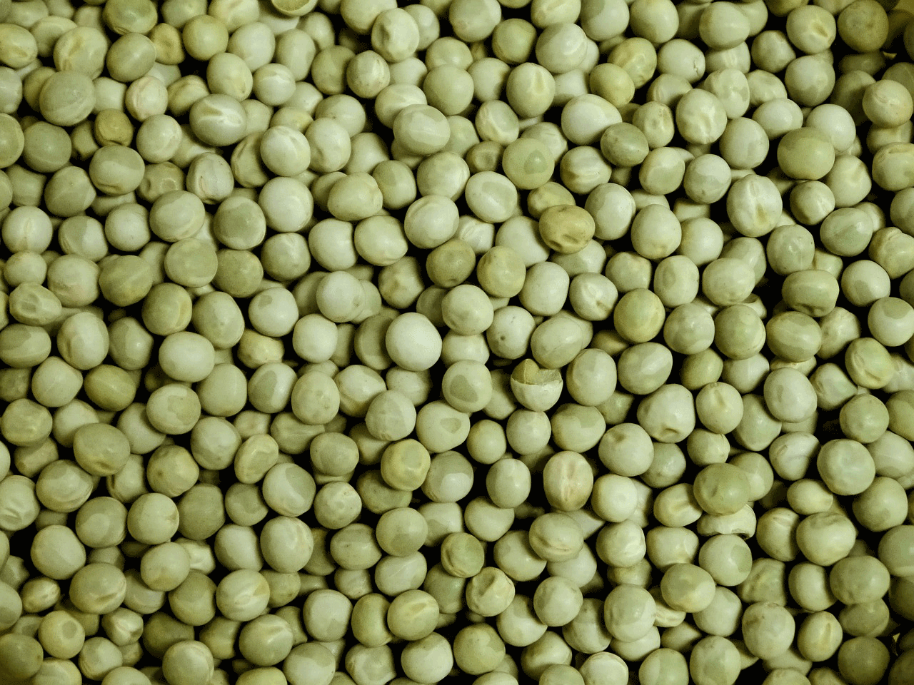 dried green peas